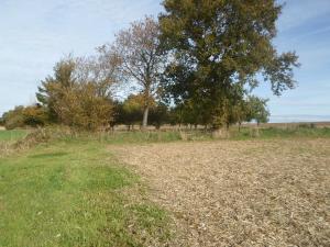 Bivouac Haut comme 3 pommes