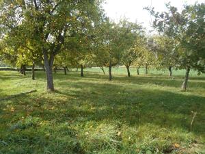 Bivouac Haut comme 3 pommes