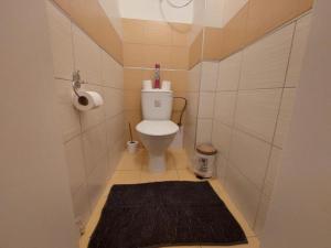 ČSA 2 Central City Apartment Hradec Králové