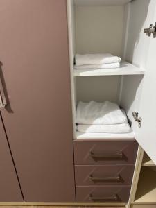 Hana Apartments TIRANA