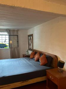 Canova Hostel & Pizza