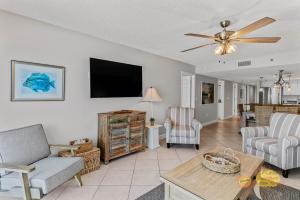 Sand Dollar 310