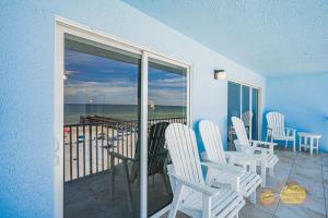 Sand Dollar 310