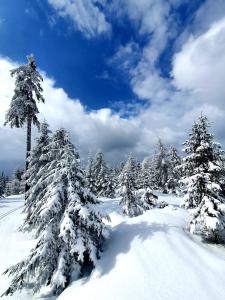 Przystanek w kolorach świata