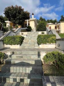 Traditional Memories 2