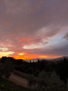 Lagom Retreat - ASKOS