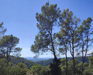 Charmant studio vue piscine idéal en couple, calme et détente assurés