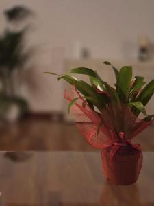 La Dimora di Vittorio Emanuele II