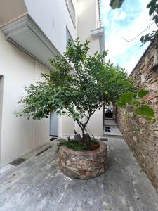 Aθens Dome - Apartments by Live&Travel