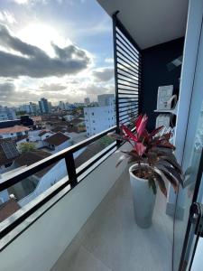 Apartamento Novo - Conforto no Saguaçú!