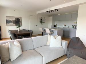 Large luxurious apartment with private terrace and parking