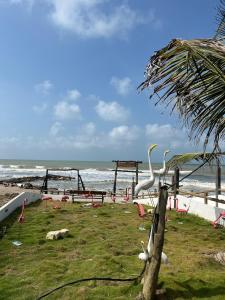 La Playita Casa de Playa con Piscina Jacuzzi y Acesso directo al Mar