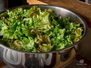 Daiwa Roynet Utsunomiya