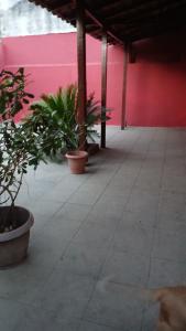 Casa em São Brás - Belém - COP30