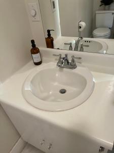 Modern Studio Retreat Minutes from Downtown Burlington