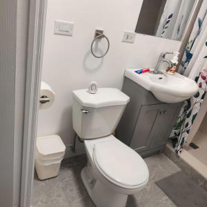 Bloor&Beyond- Free Wifi-Next to Subway Line