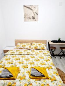 Pensiunea Nikobella Panzio