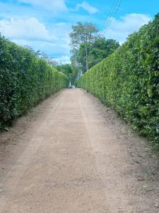 Alojamiento campestre Juanita Bonita