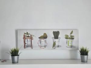 Estudio D - Costa Teguise