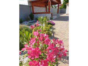 Villa in Marcana with swimming pool