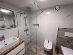 Apartment in Medulin with swimming pool