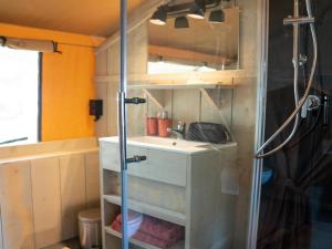 Luxury holiday home in Overijssel