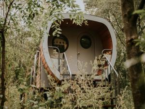 Cozy Treehouse Retreat in Overijssel