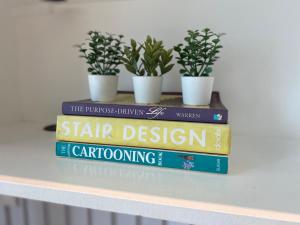 Uptown Parksuites Posh Modern Minimalist