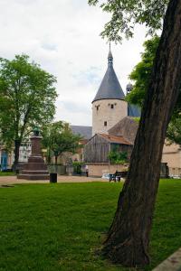 Hotels Hotel Cerise Nancy : photos des chambres