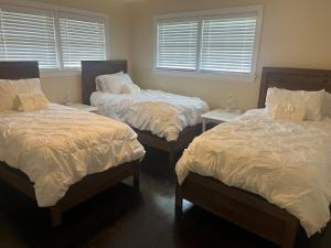 Experience Serenity with Family and Friends