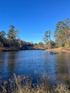 Experience Serenity with Family and Friends