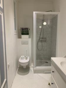 Appartement Nice Chic Centre Libération