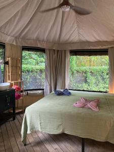 Safari tent with private pool close to Manuel Antonio Glamping 2