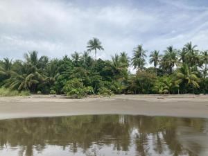 Safari tent with private pool close to Manuel Antonio Glamping 2