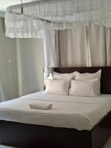 Stadium View Executive Guest House