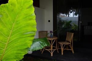 Nova Surf House