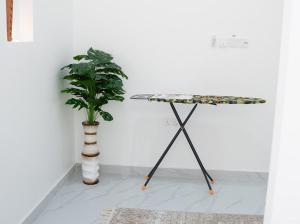 Lateen Chalet - شاليه لتين