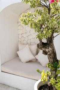 Casa Mios Villa Canggu - New Years Offer