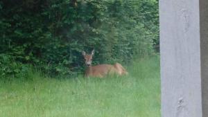 Charming Cottage Near The Water