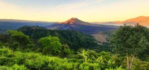 Arkaluna Resort & Adventure