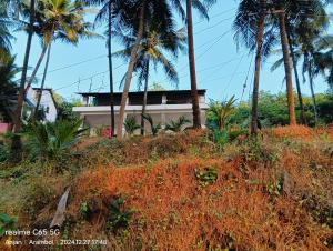 Ludu guest house