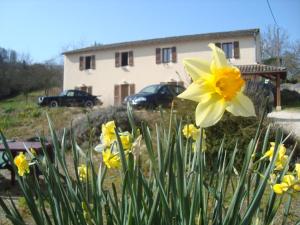 Hotel Le Relais du Chateau photo 6