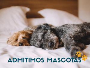 Apartamentos Illa de Arousa 3000