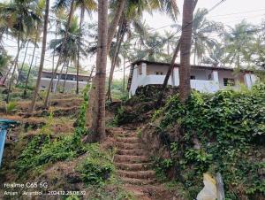 Ludu guest house