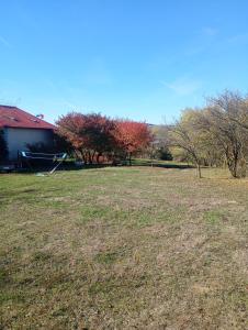 colina farm camping cort