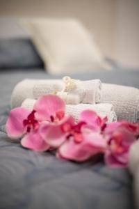 Appartamento centro Elpidio Blu