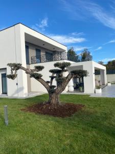 Villa BB Rapsody 10 with heated salt water pool