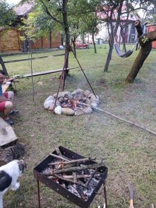 colina farm camping cort