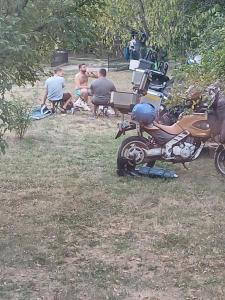 colina farm camping cort