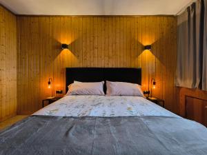 QH Sierra Nevada - 01